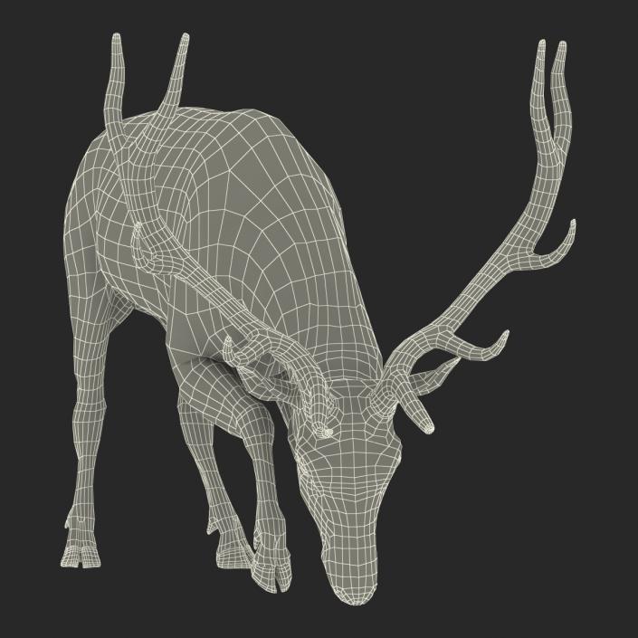 3D model Elk Pose 3