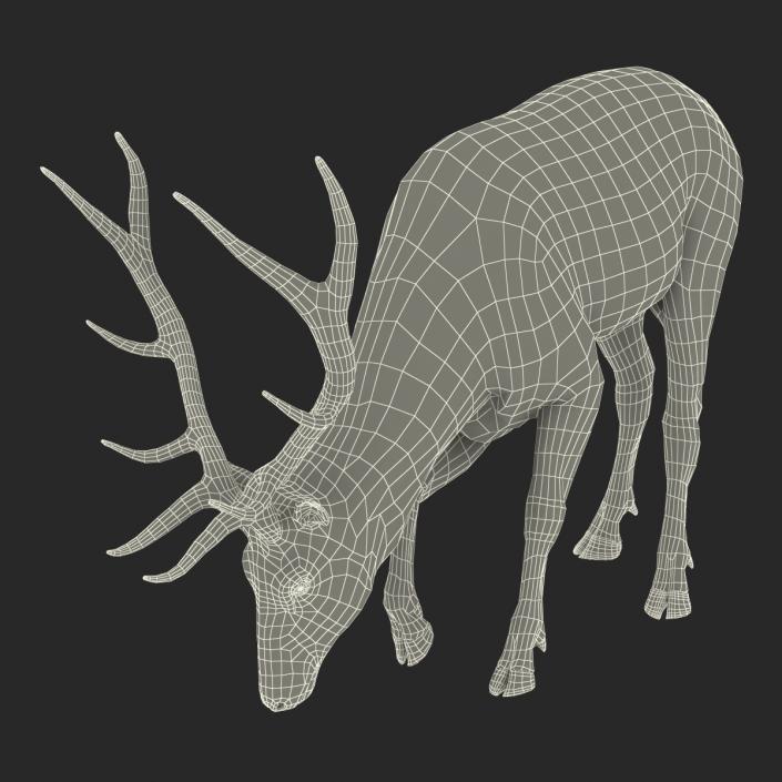 3D model Elk Pose 3