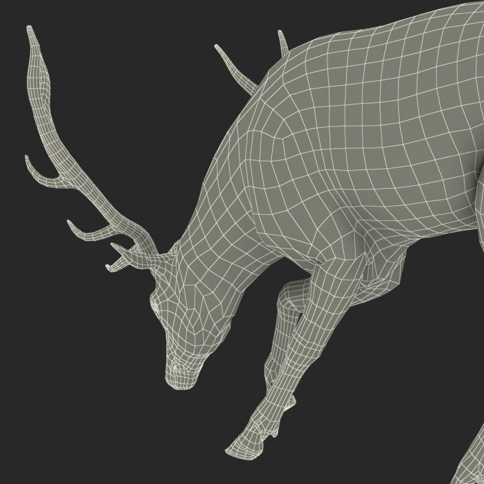 3D model Elk Pose 3