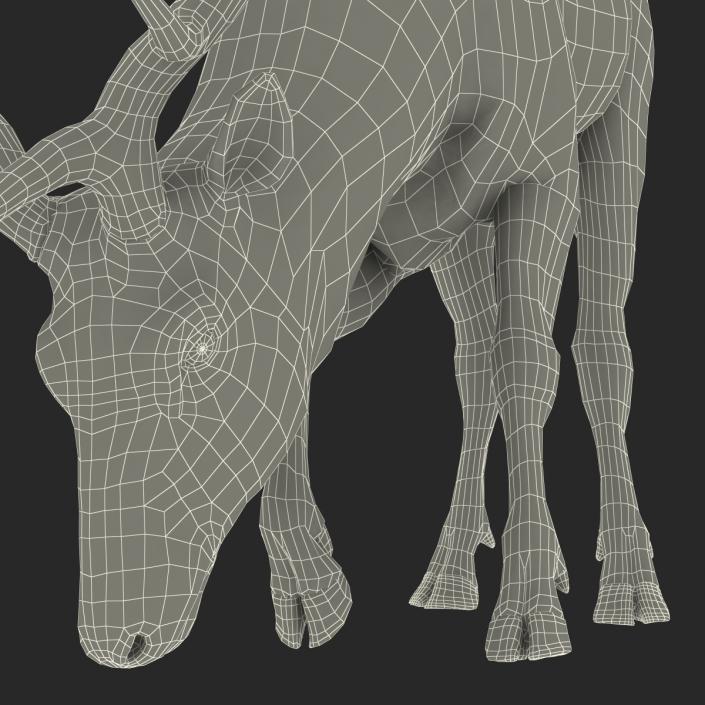 3D model Elk Pose 3