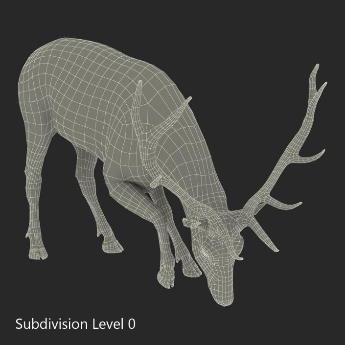 3D Elk Eating Pose 3D Model with Fur model