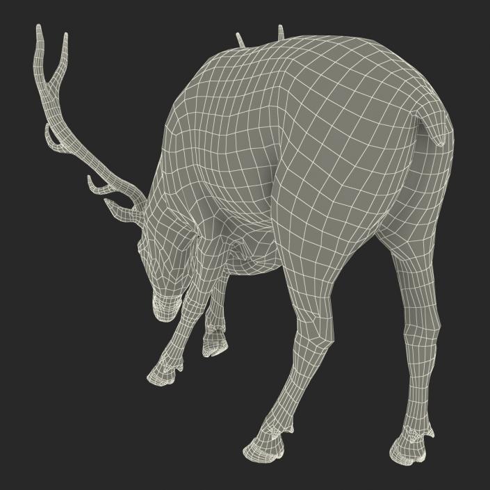 3D Elk Eating Pose 3D Model with Fur model