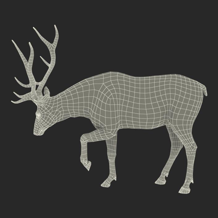 3D model Elk Pose 4