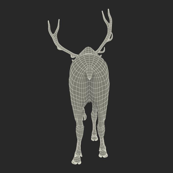 3D model Elk Pose 4