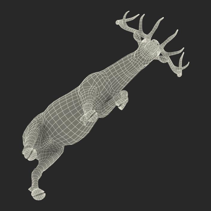 3D model Elk Pose 4