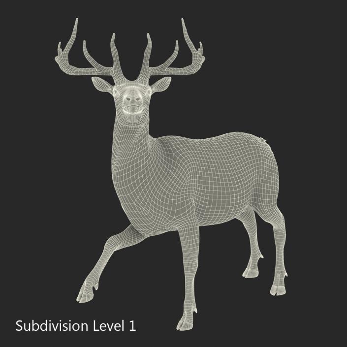 3D model Elk Rigged