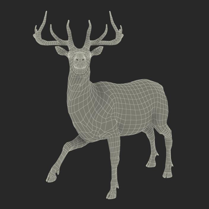 3D model Elk Rigged