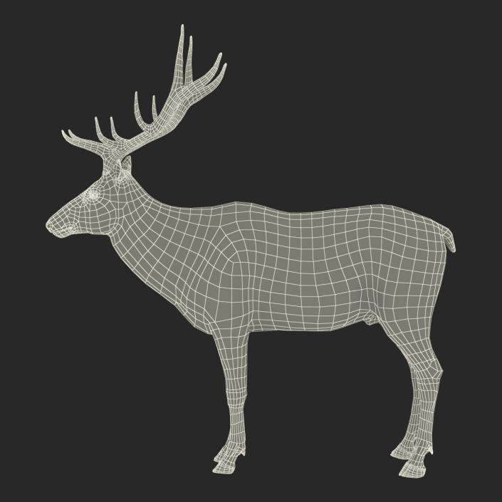 3D model Elk Rigged