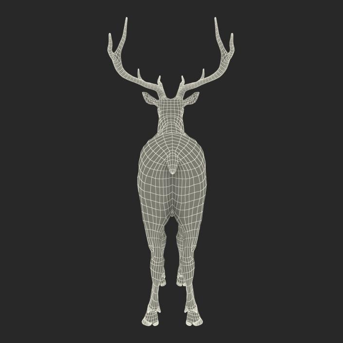 3D model Elk Rigged