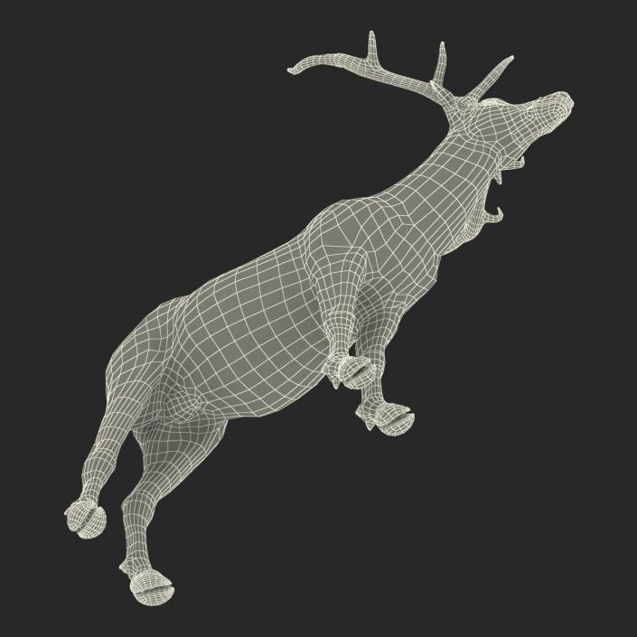 3D model Elk Rigged