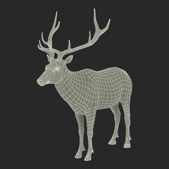 3D model Elk Rigged