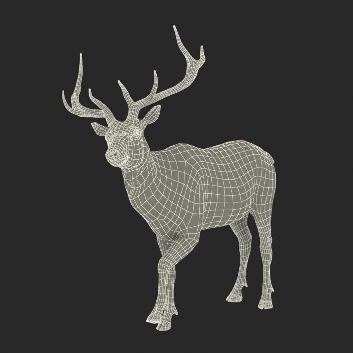 3D model Elk Rigged