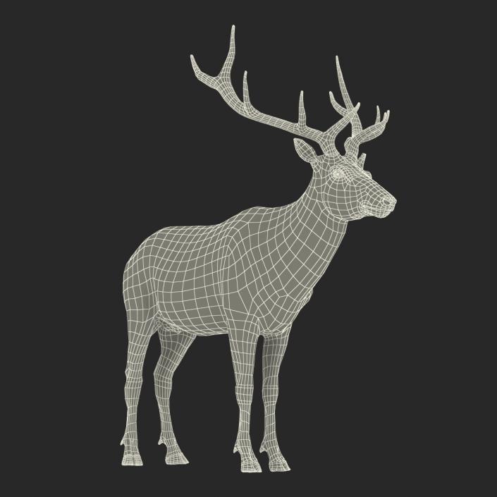 3D model Elk Rigged