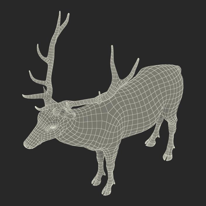 3D model Elk Rigged