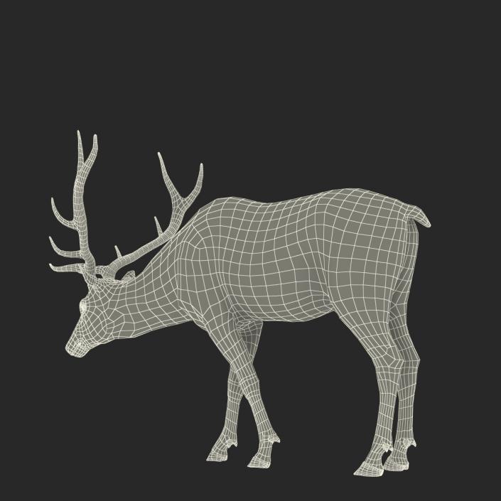 3D model Elk Rigged