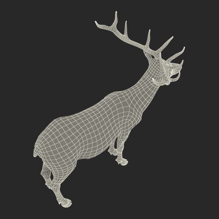 3D model Elk Rigged