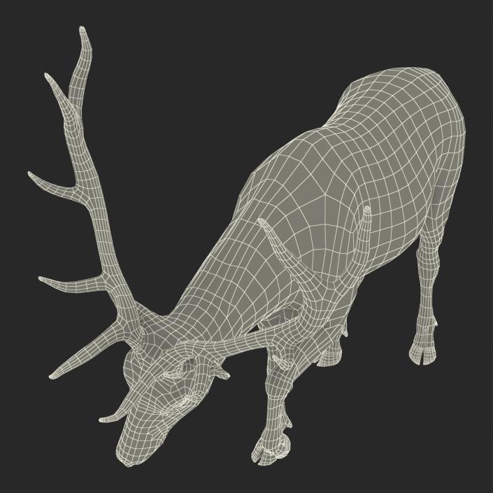 3D model Elk Rigged