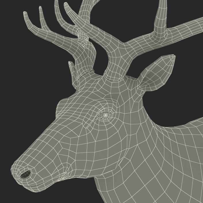 3D model Elk Rigged