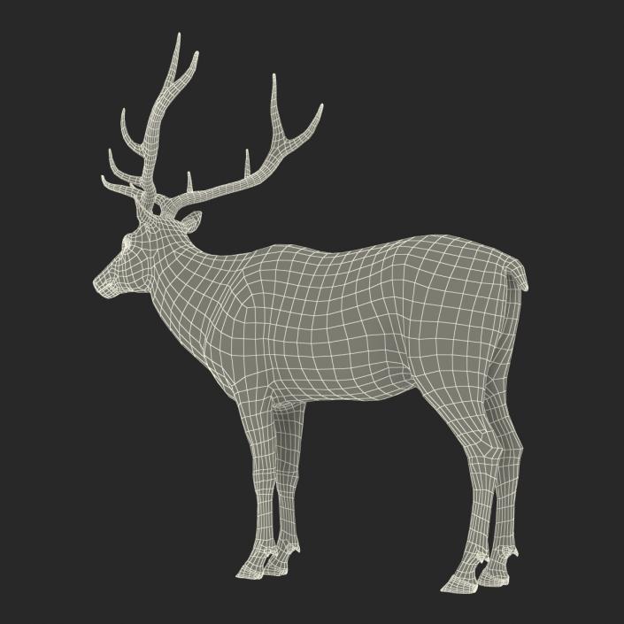 Elk Rigged with Fur 3D model