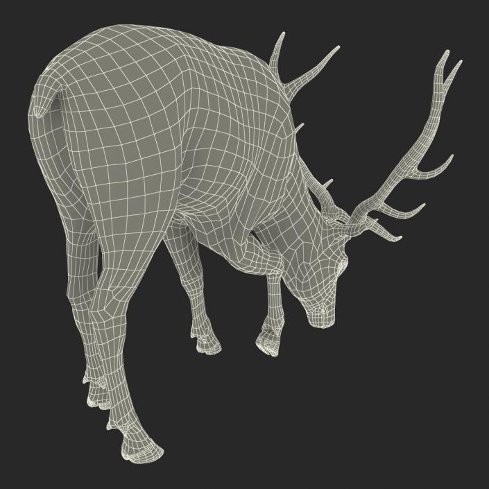 Elk Rigged with Fur 3D model