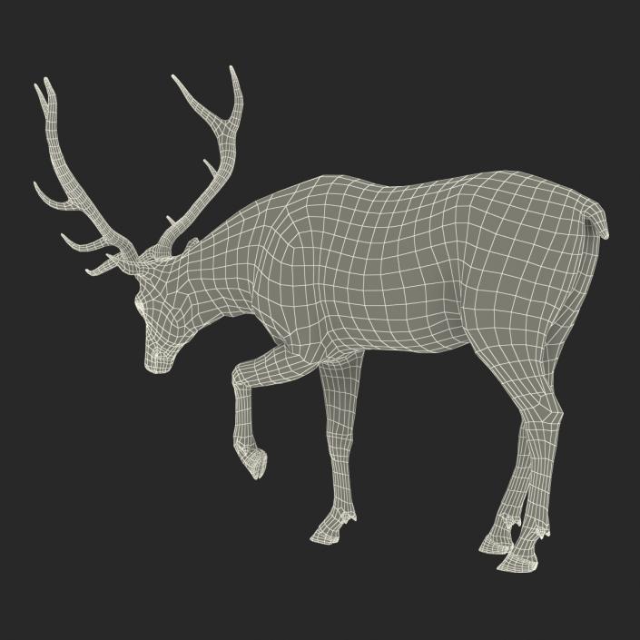 Elk Rigged with Fur 3D model