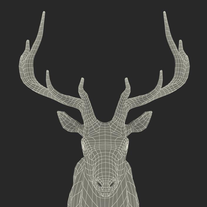 Elk Rigged with Fur 3D model