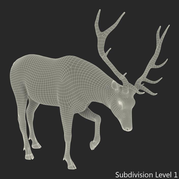 Elk Pose 4 with Fur 3D model