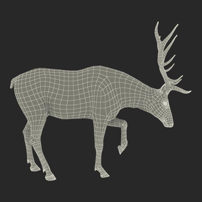 Elk Pose 4 with Fur 3D model