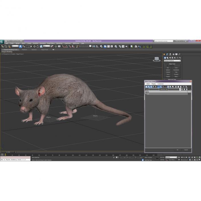 3D model Rat Pose 5