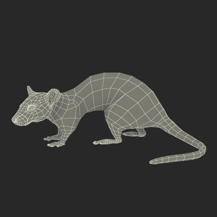 3D model Rat Pose 5