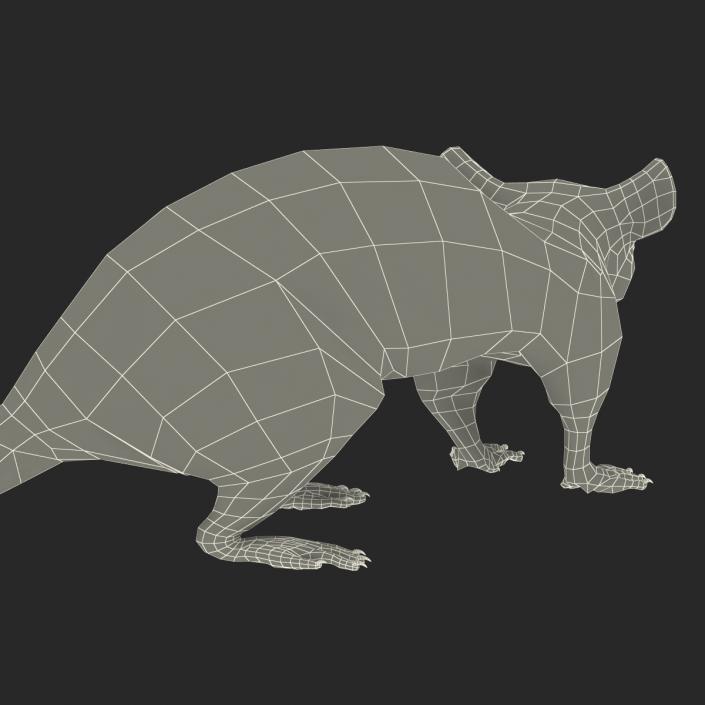 3D model Rat Pose 5