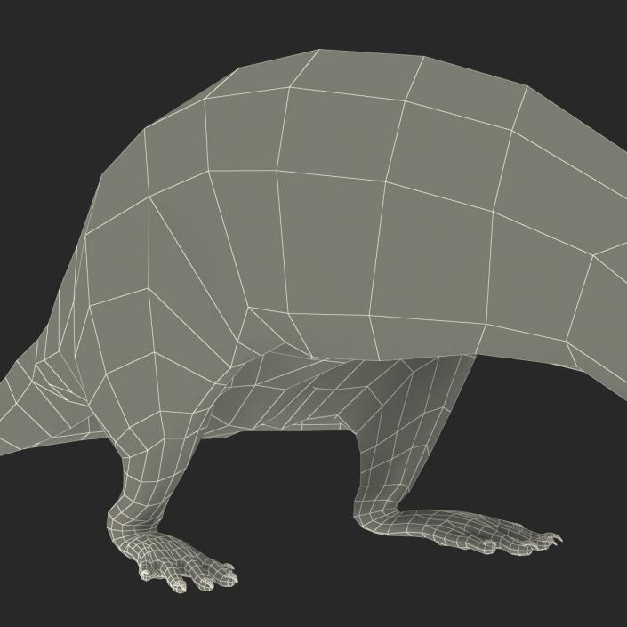 3D model Rat Pose 5