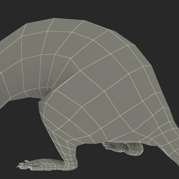 3D model Rat Pose 5