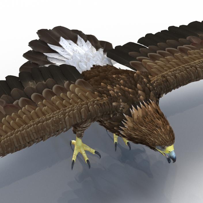 Golden Eagle Rigged 3D model