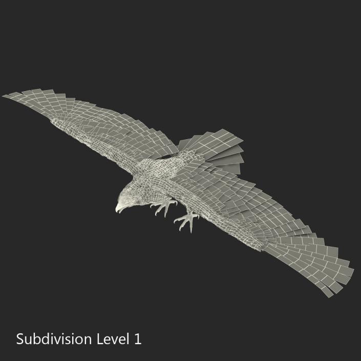 Golden Eagle Rigged 3D model