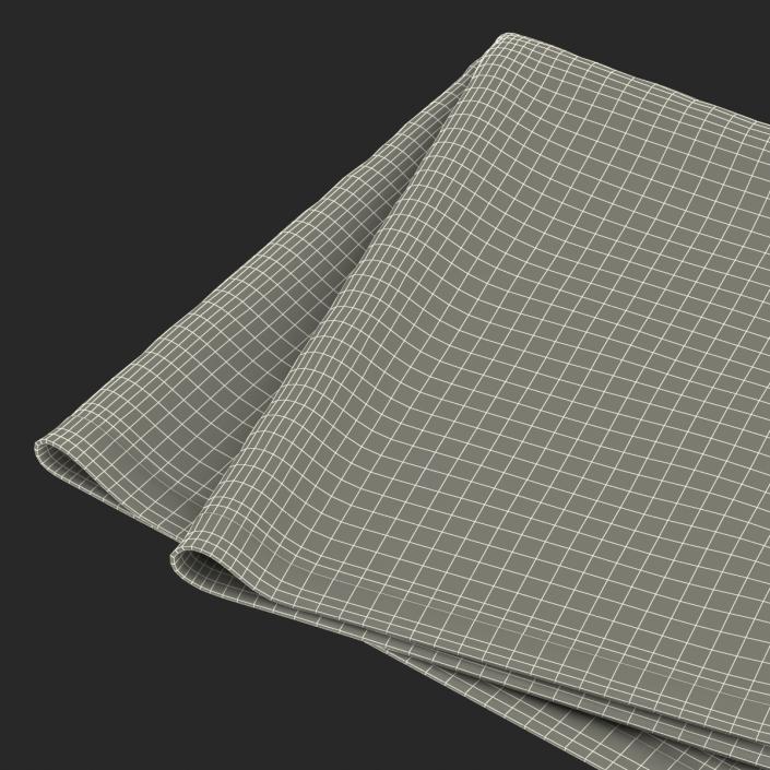 Black Napkin 3D