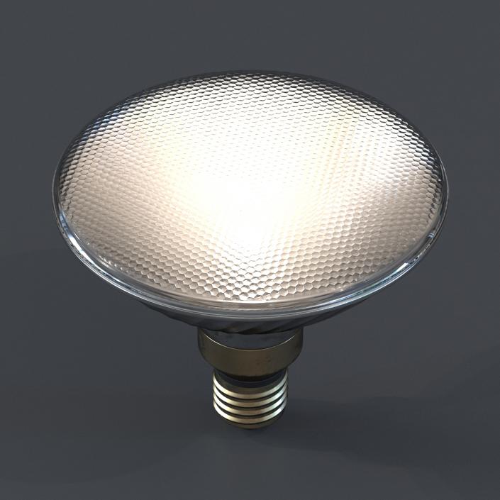 Halogen Flood Light Bulb 3D model