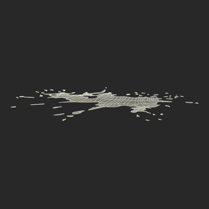 Spilled Liquid 3D model