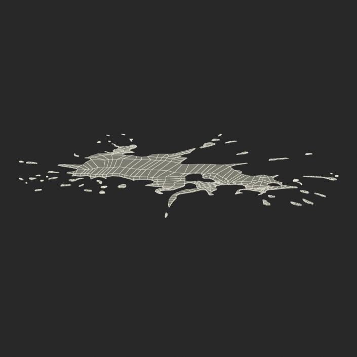 Spilled Liquid 3D model