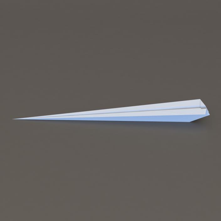 3D Paper Plane