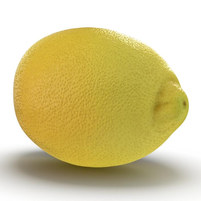 Lemon 3D model