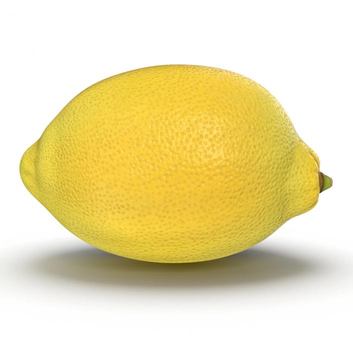 Lemon 3D model