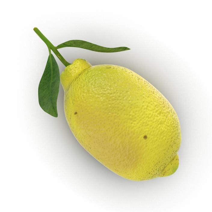 Lemon 2 3D model