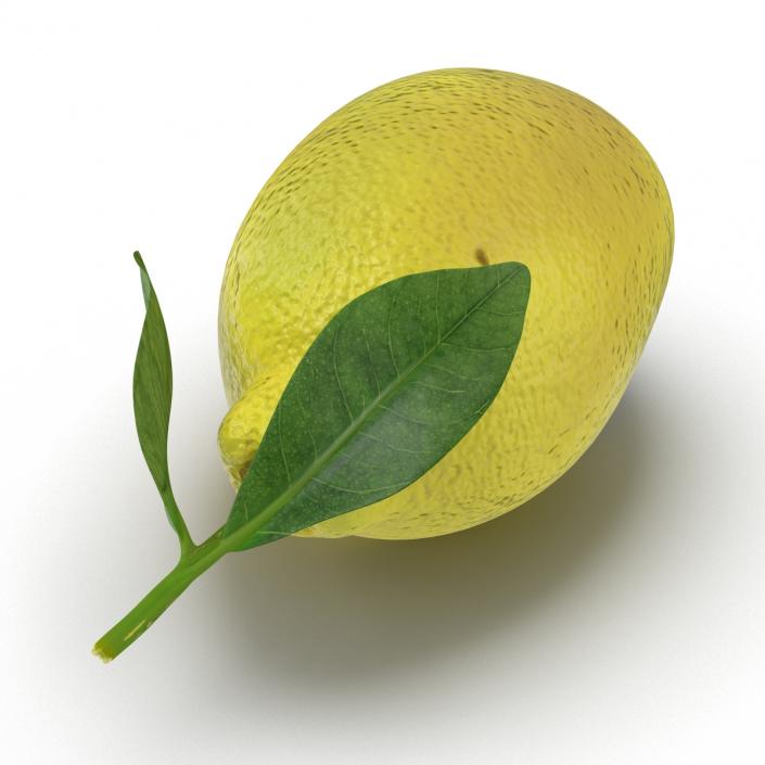 Lemon 2 3D model