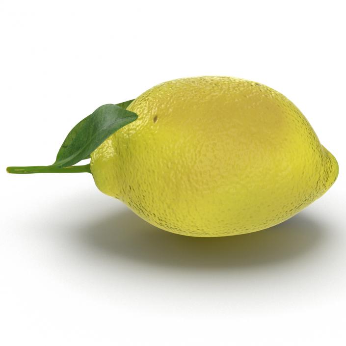 Lemon 2 3D model