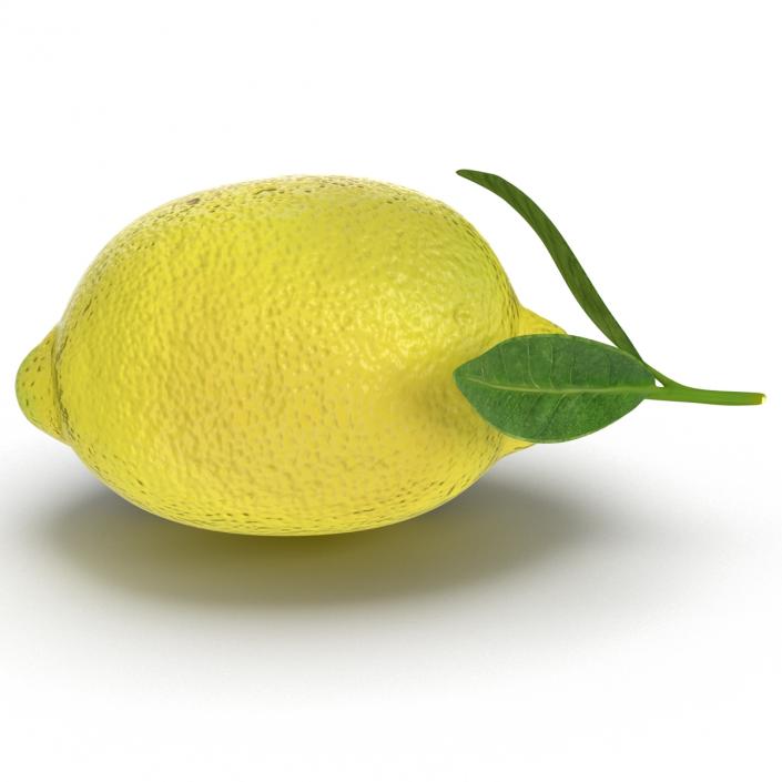 Lemon 2 3D model