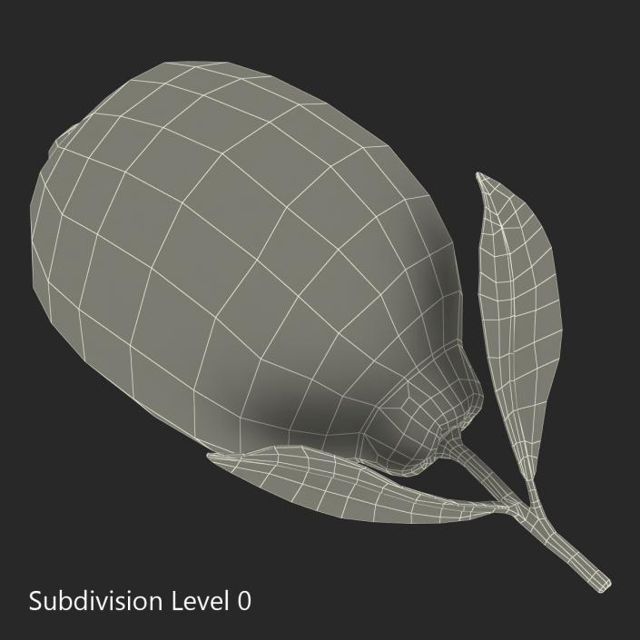 Lemon 2 3D model