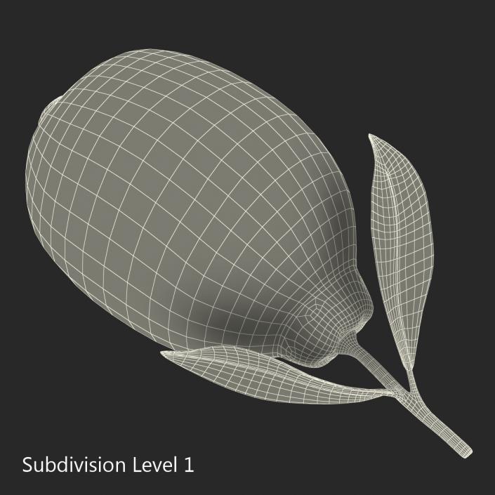 Lemon 2 3D model