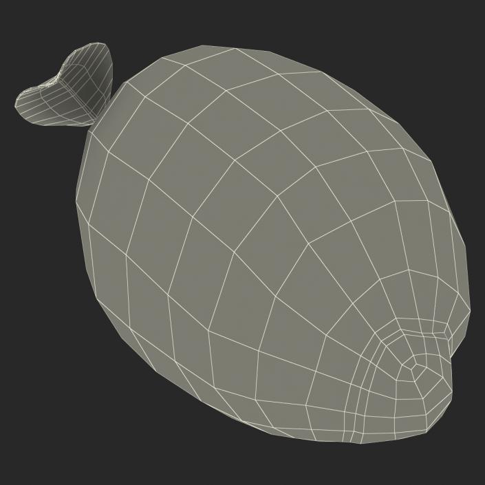 Lemon 2 3D model