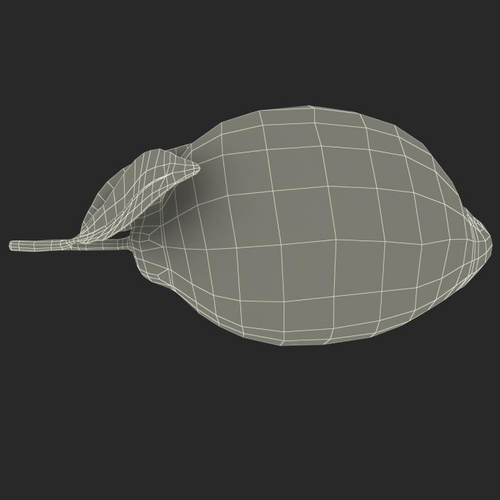 Lemon 2 3D model